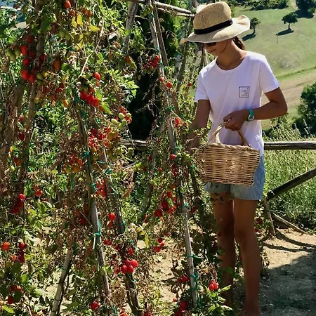 La Corte Del Gusto Luxuryapartments Arcevia