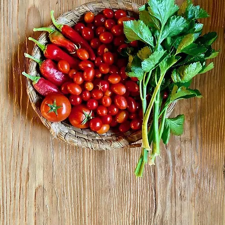 La Corte Del Gusto Luxuryapartments Apartment *