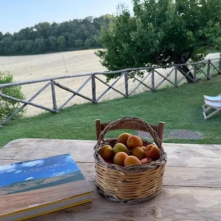 La Corte Del Gusto Luxuryapartments *