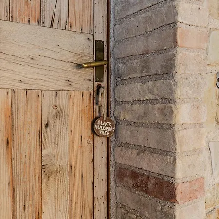 La Corte Del Gusto Luxuryapartments Appartamento
