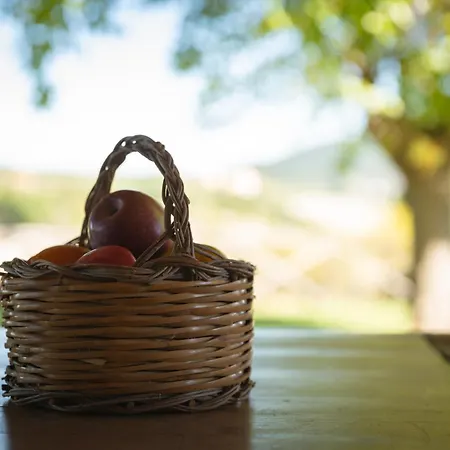 Appartamento La Corte Del Gusto Luxuryapartments