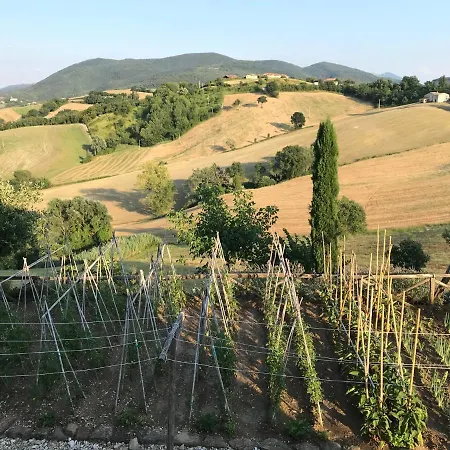 La Corte Del Gusto Luxuryapartments Arcevia